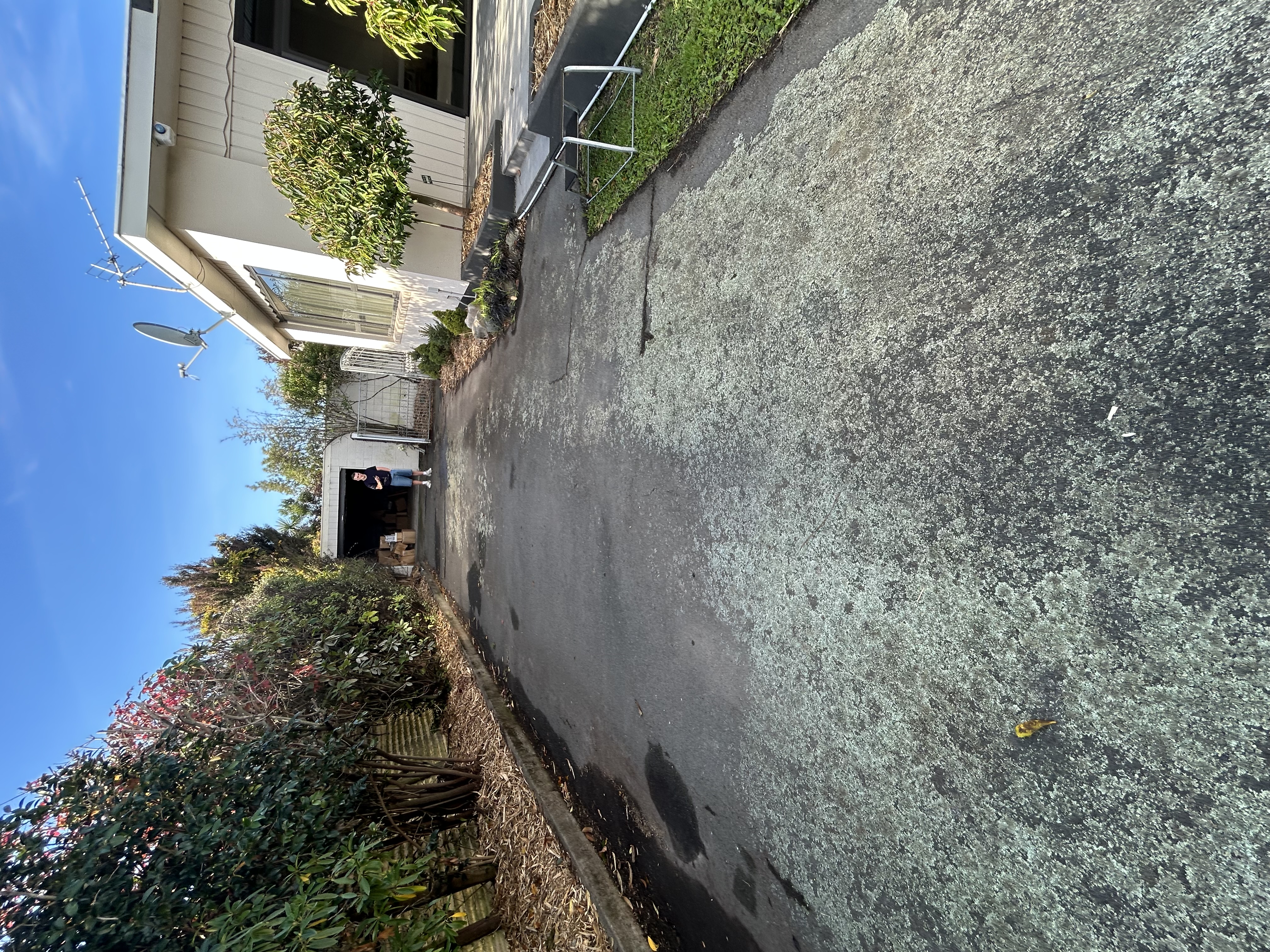 Driveway before pressure washing